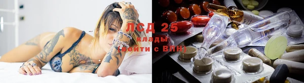 СК Алзамай