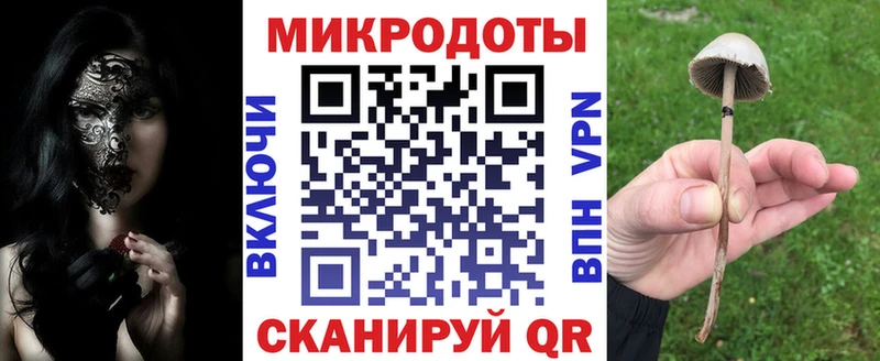 Галлюциногенные грибы Cubensis  Томари 